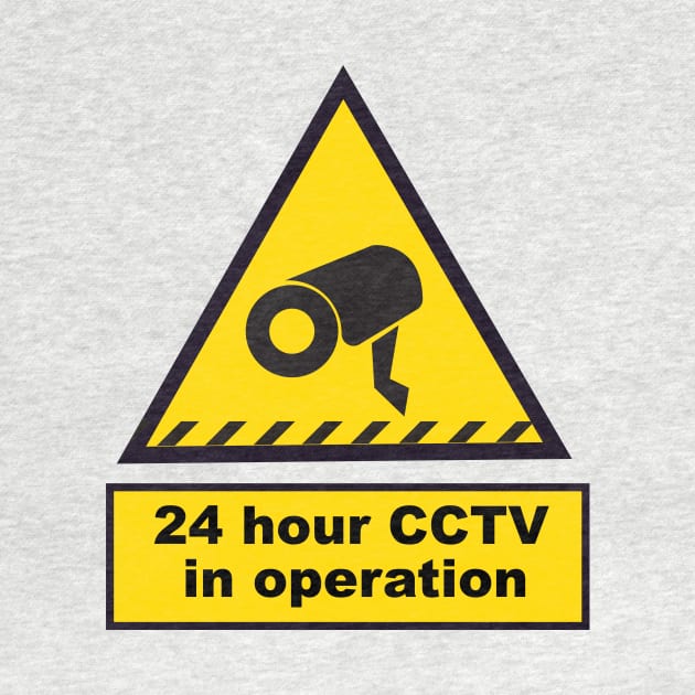 24 Hour CCTV in Operation by nickemporium1